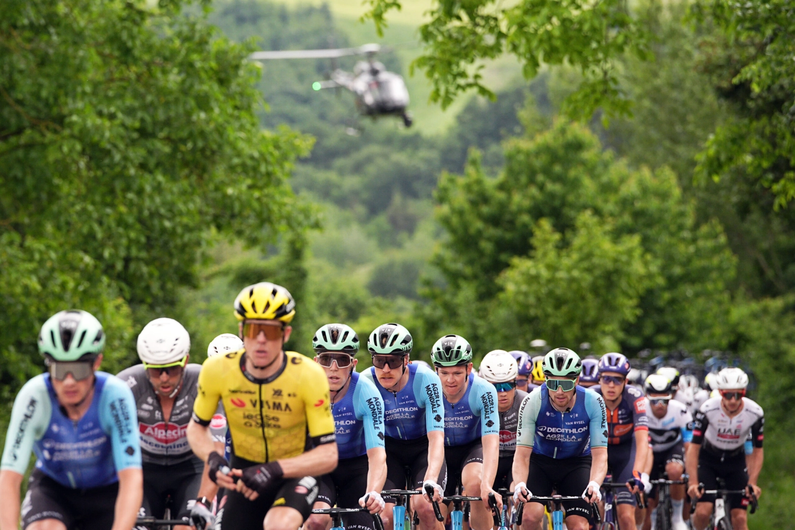 Olav Kooij wins the sprint of the twelfth stage of the Giro d'Italia