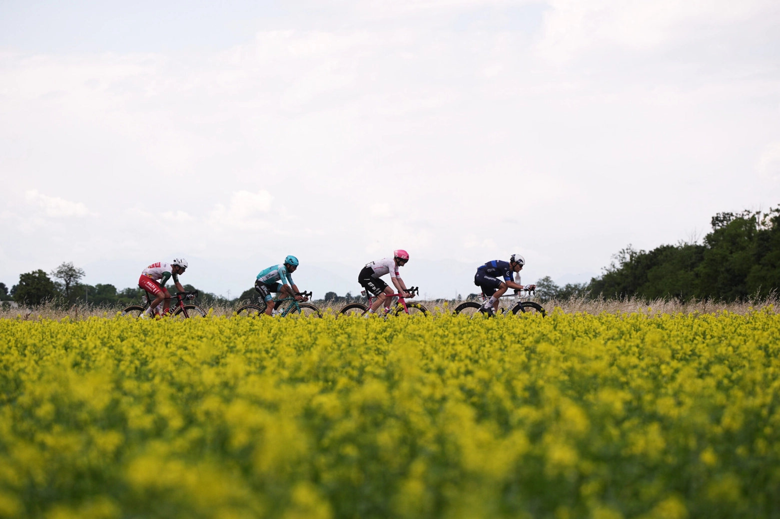 Kasper Asgreen wins a crash-filled stage of the Giro d'Italia that leaves Del Toro even more in the lead