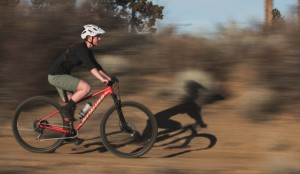 Specialized has raised the price of its bikes since yesterday. What will the other brands do?