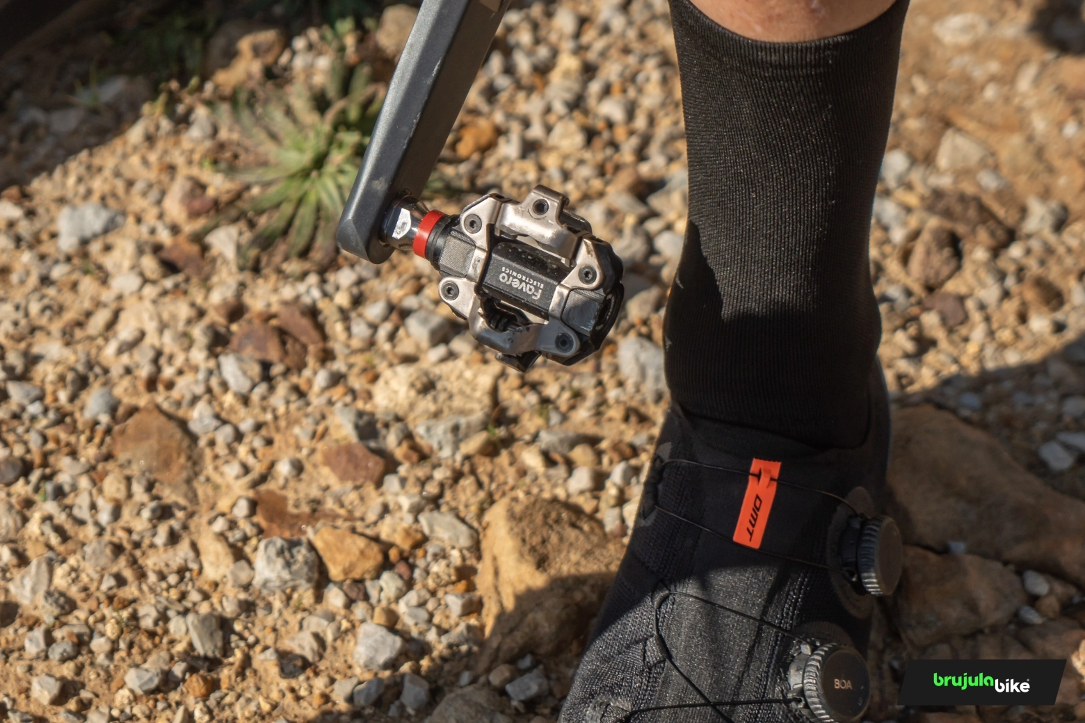 Test and review of pedals with power meter for MTB: Favero Assioma Pro MX-2 vs Garmin Rally XC200