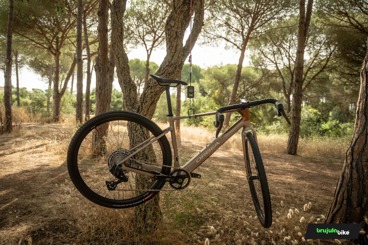 Probamos la nueva Orbea Terra 202: más cómoda y dócil, ideal para pasar muchas horas sobre ella