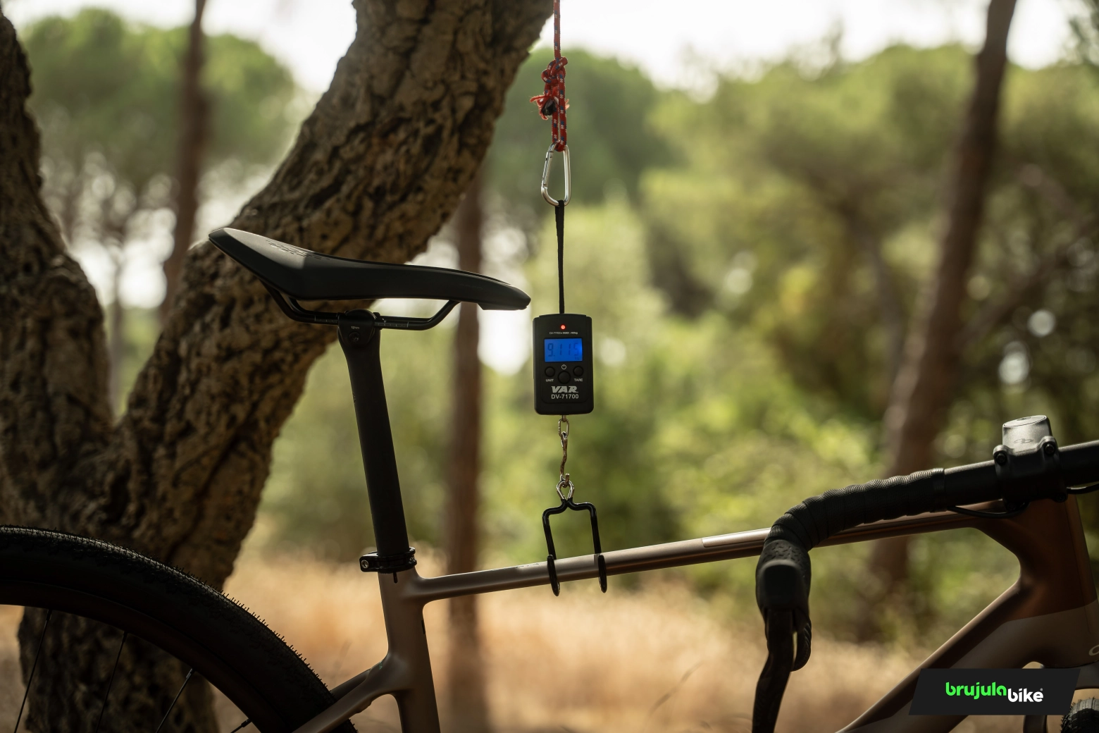 Probamos la nueva Orbea Terra 202: más cómoda y dócil, ideal para pasar muchas horas sobre ella