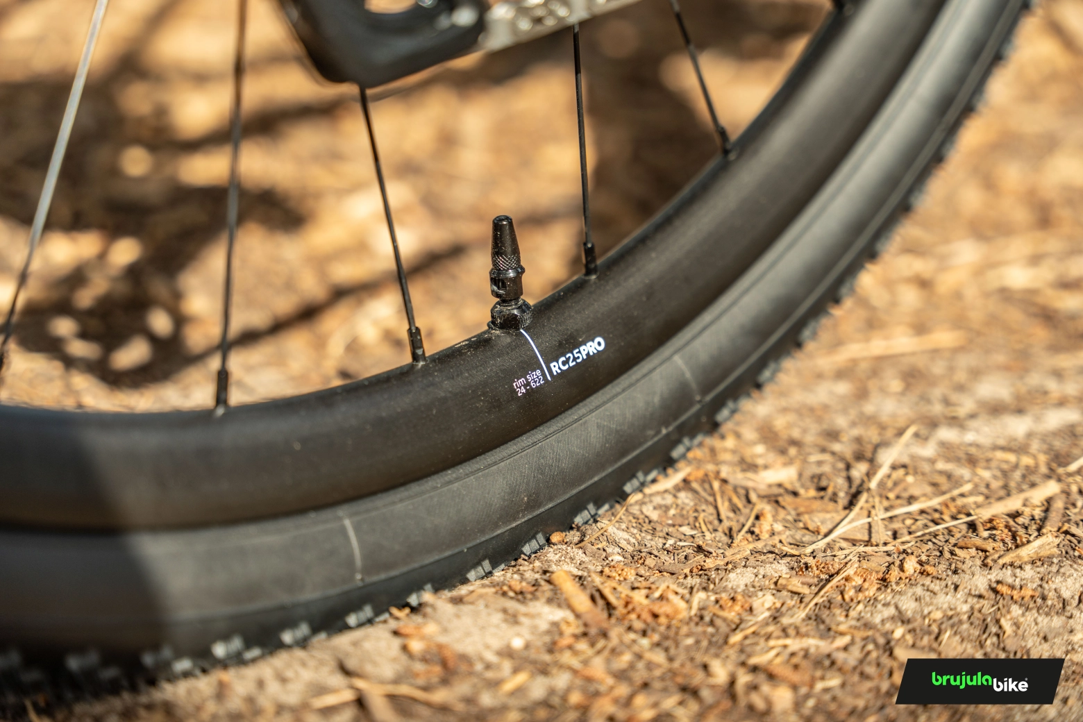 Probamos la nueva Orbea Terra 202: más cómoda y dócil, ideal para pasar muchas horas sobre ella