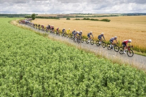 Who are the sponsors of the Tour de France teams and what do they do?