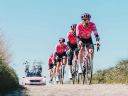 Who are the sponsors of the Tour de France teams and what do they do?