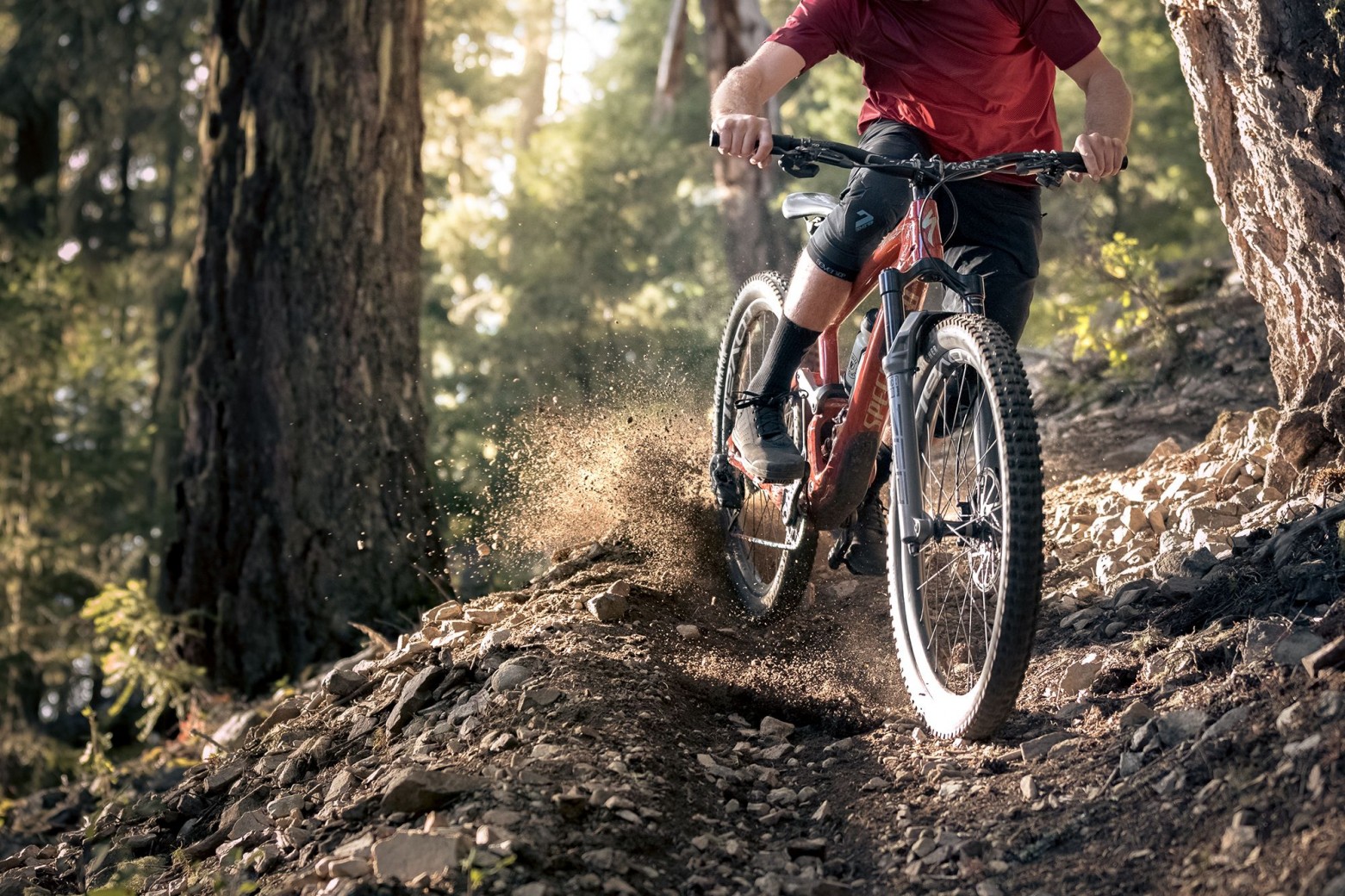specialized 2fo roost