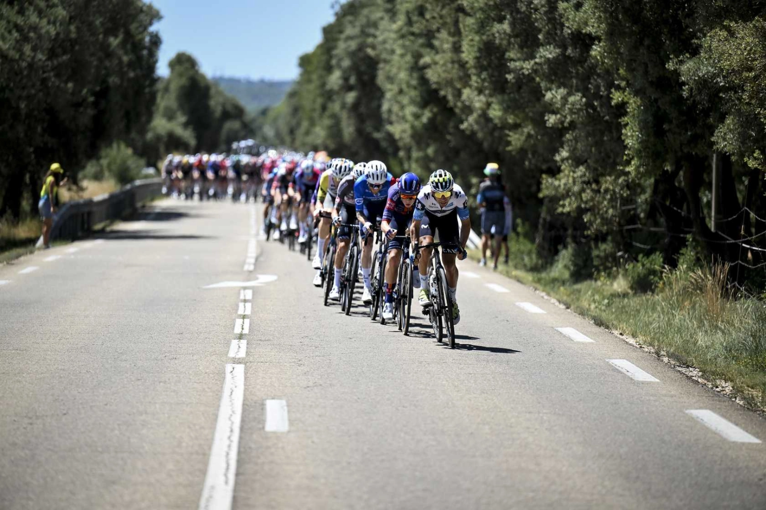 Valentin Paret-Paintre's triumph at the top of Mont Ventoux