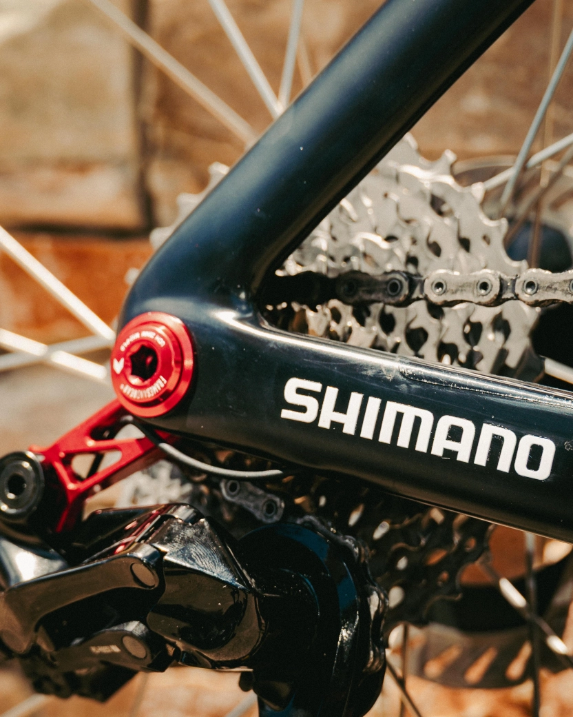 Pogacar debuted a new Colnago Y1Rs lighter than ever, its weight is at the limit of the regulations