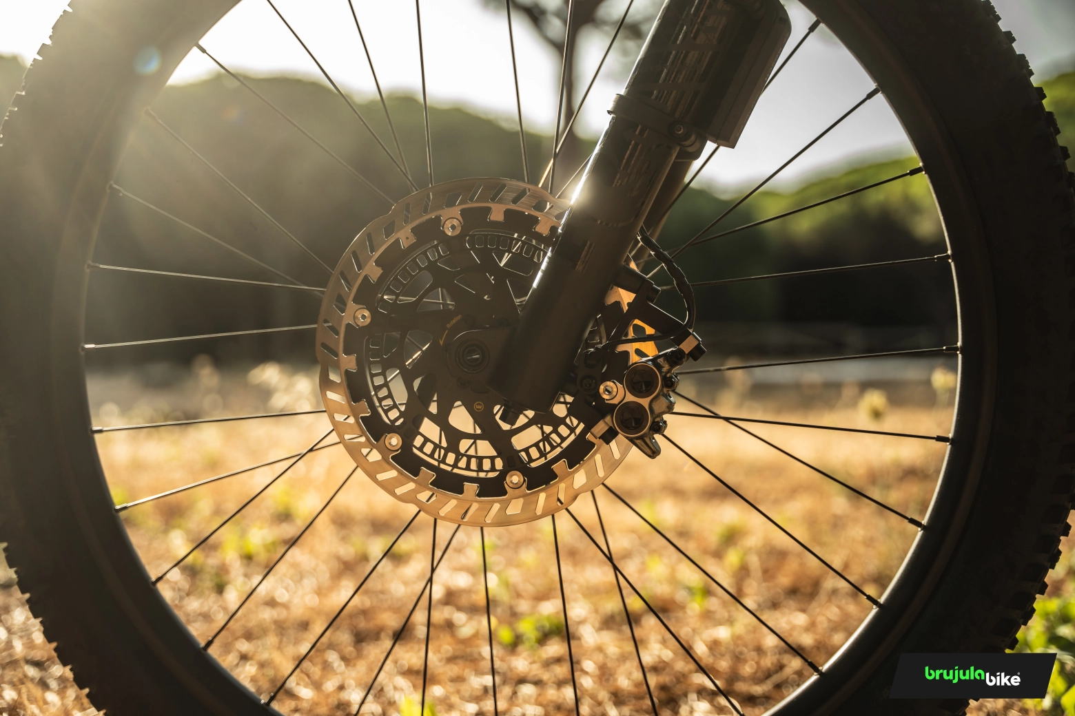 Testamos profundamente a Scott Patron 2025: a vanguarda do Trail elétrico