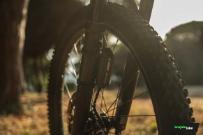 We thoroughly tested the Scott Patron 2025: the cutting edge of electric trail riding