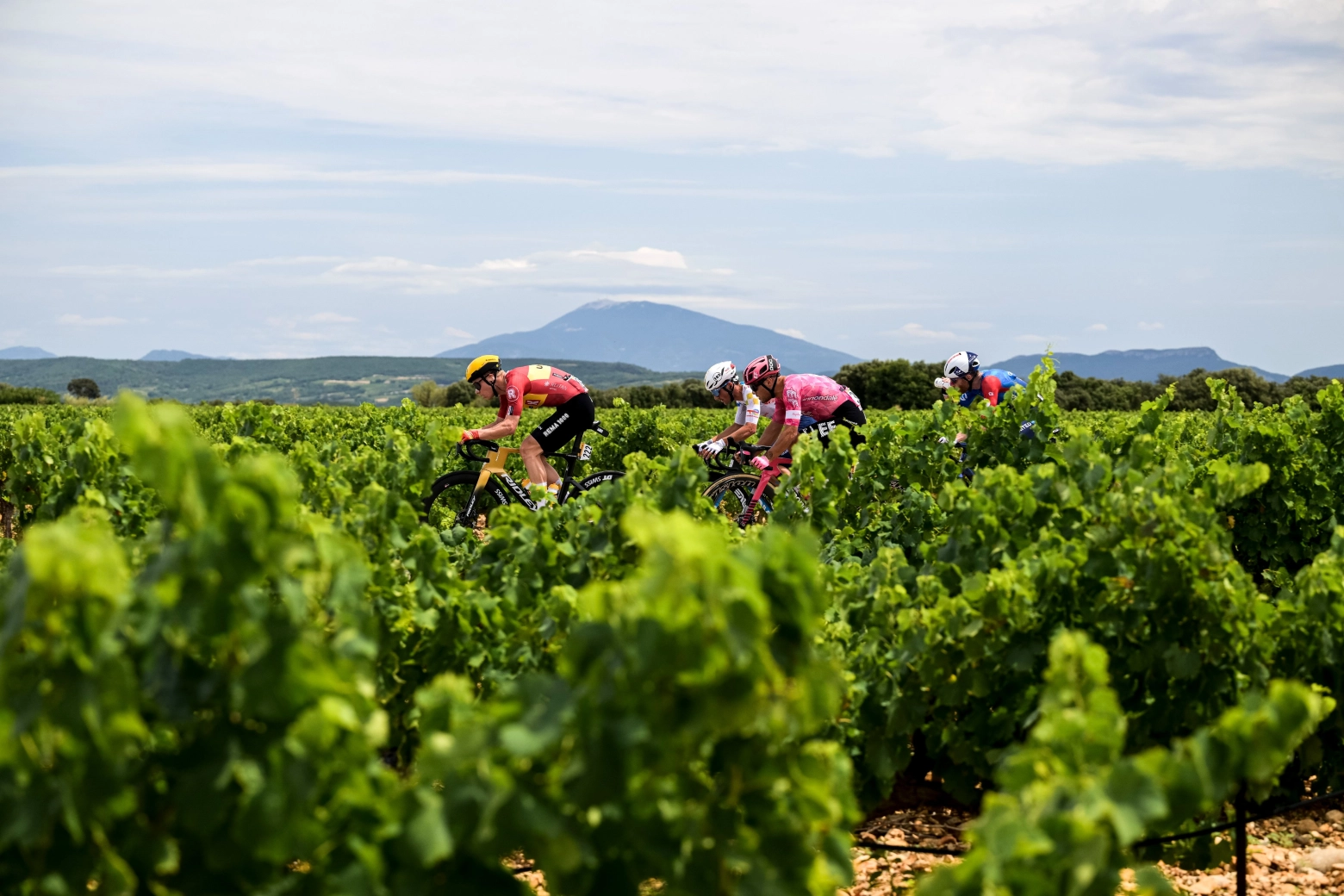 Jonathan Milan wins his second stage in Tour de France 2025 and secures his green jersey