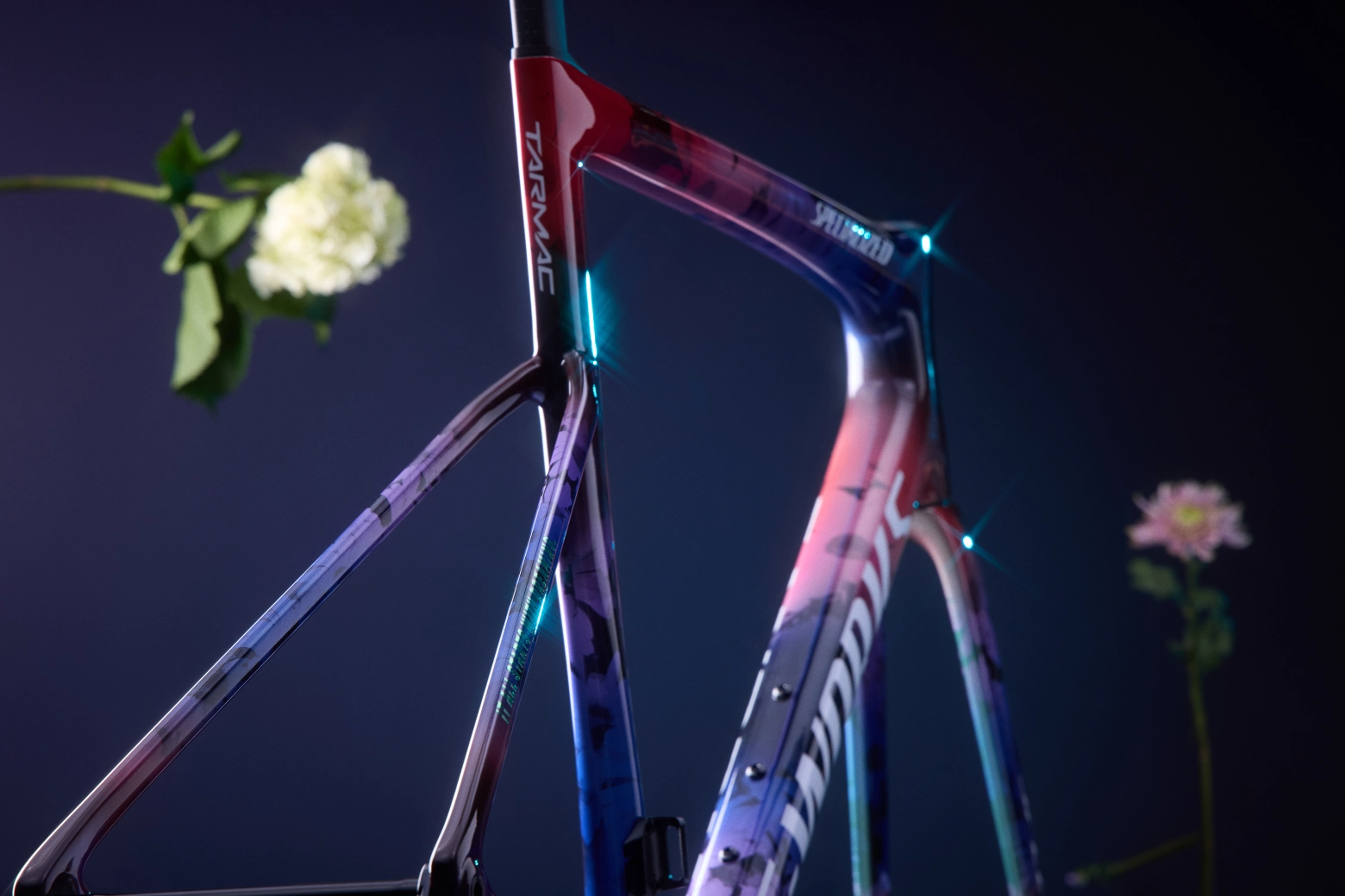 "Everything starts with a dream": new S-Works Tarmac SL8 limited edition Demi Vollering