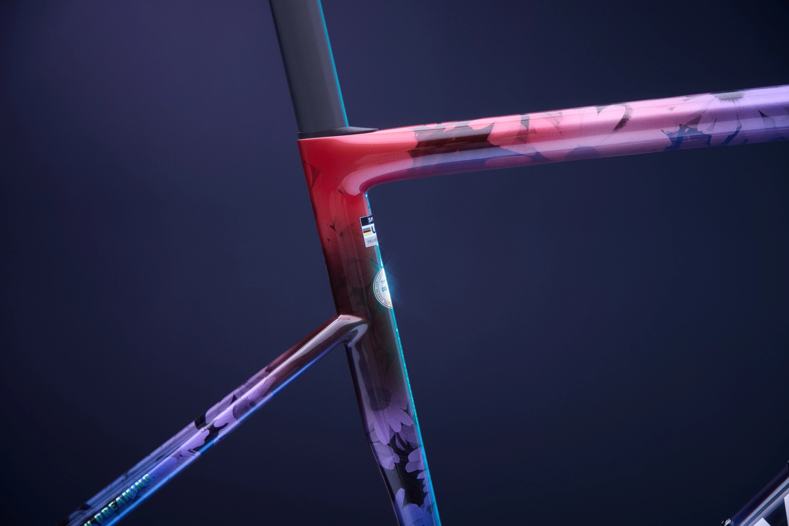 "Everything starts with a dream": new S-Works Tarmac SL8 limited edition Demi Vollering