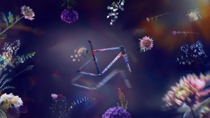 "Everything starts with a dream": new S-Works Tarmac SL8 limited edition Demi Vollering