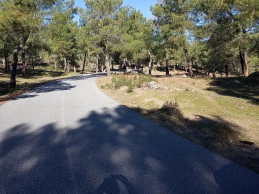 Fires could disrupt the Vuelta a España