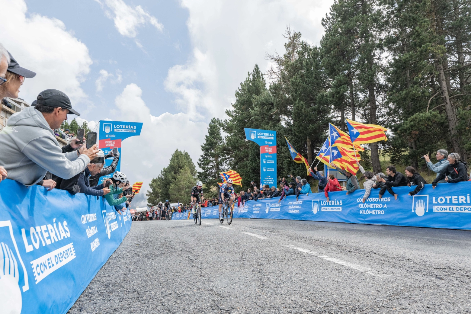 Jay Vine achieves a new stage victory in La Vuelta, Torstein Træen is the new leader