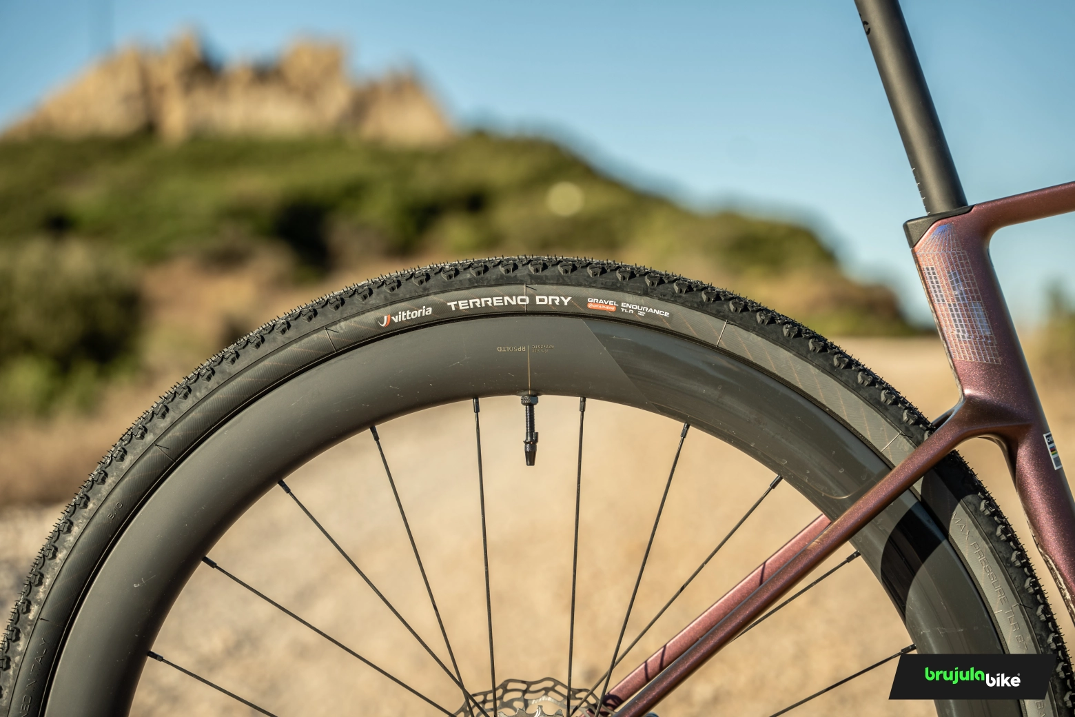 This bike blurs the boundaries between gravel and road: we tested the Orbea Terra Race