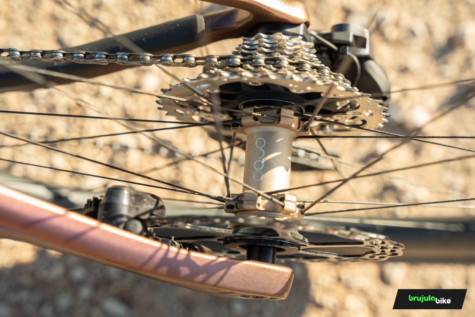 This bike blurs the boundaries between gravel and road: we tested the Orbea Terra Race