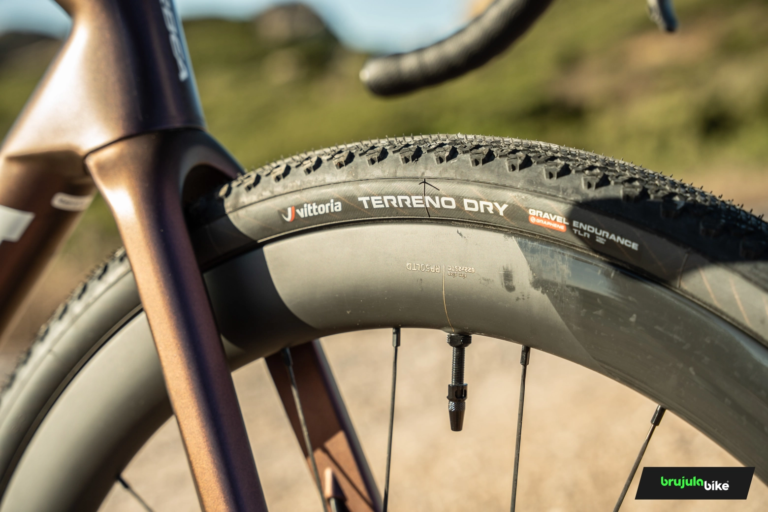 This bike blurs the boundaries between gravel and road: we tested the Orbea Terra Race