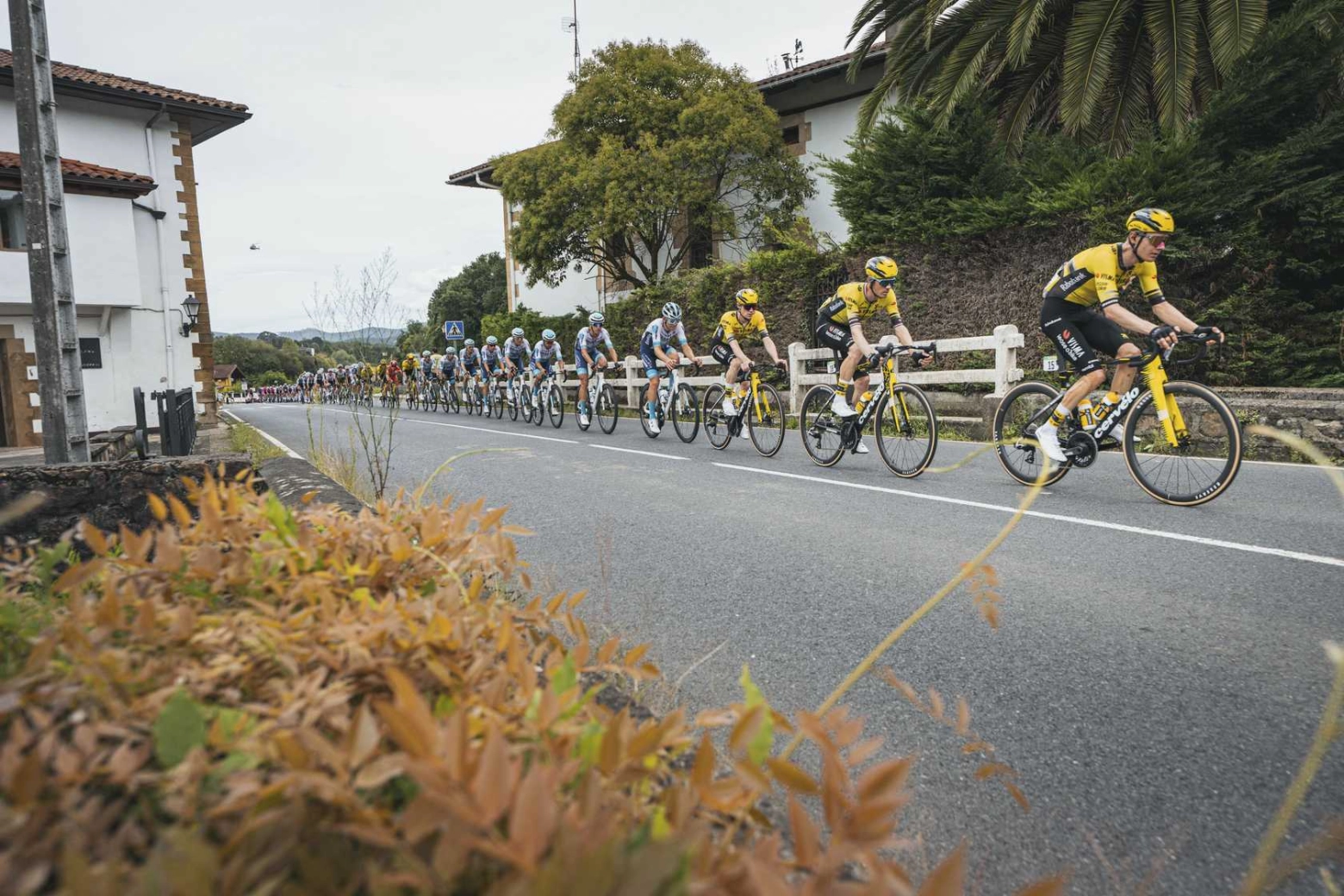 Tom Pidcock teases Jonas Vingegaard on Pike Bidea