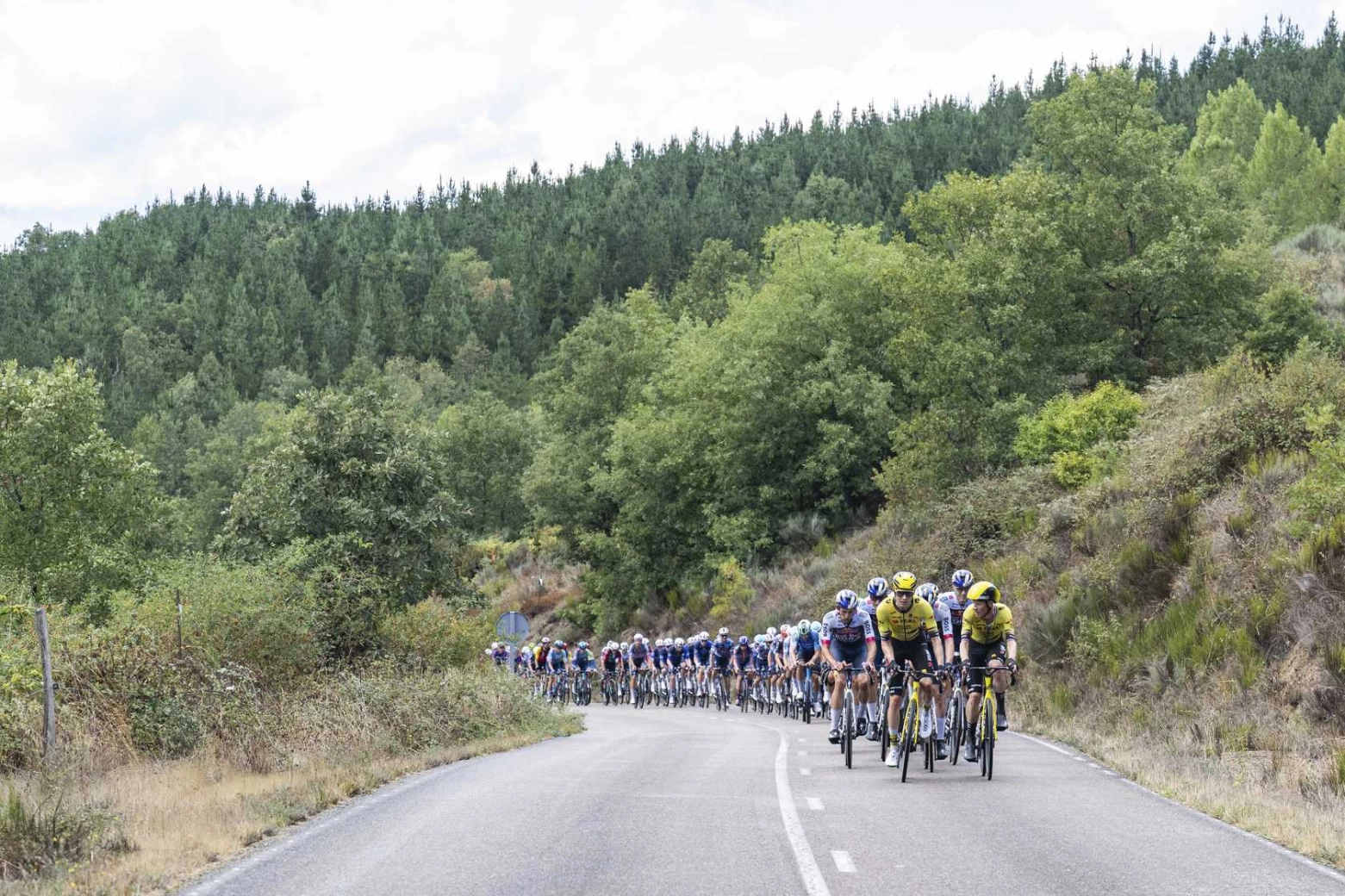 Pellizzari strengthens the white jersey on another day of mountain without differences in the fight for the podium