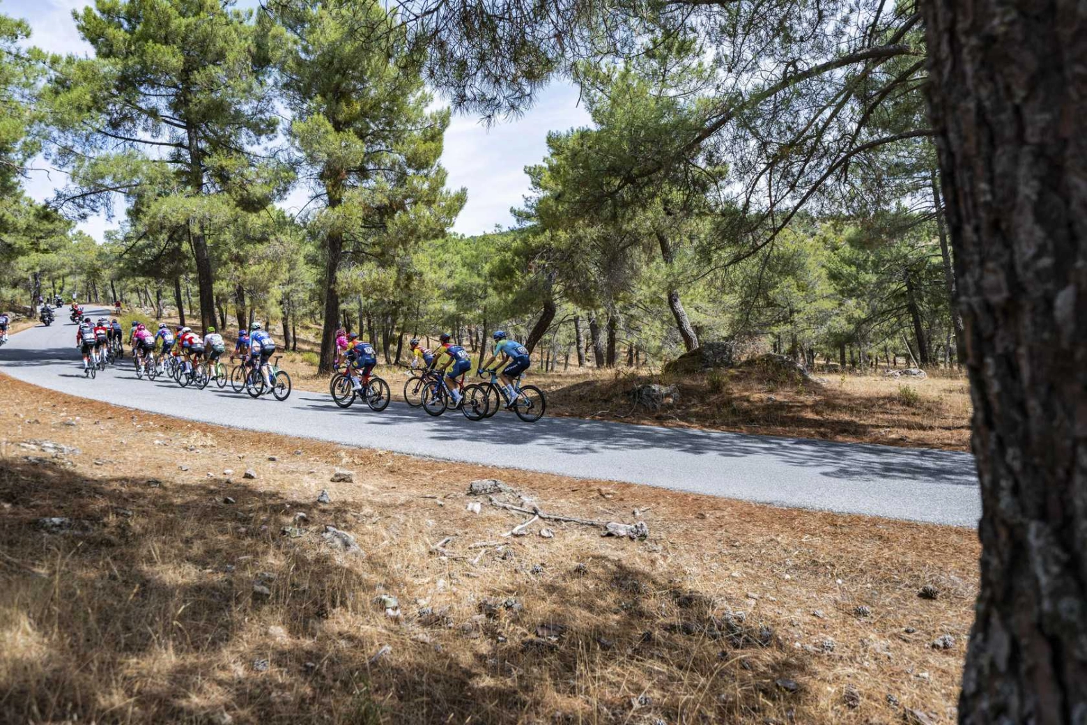 Vingegaard certifica com uma vitória de etapa sua vitória na La Vuelta 2025