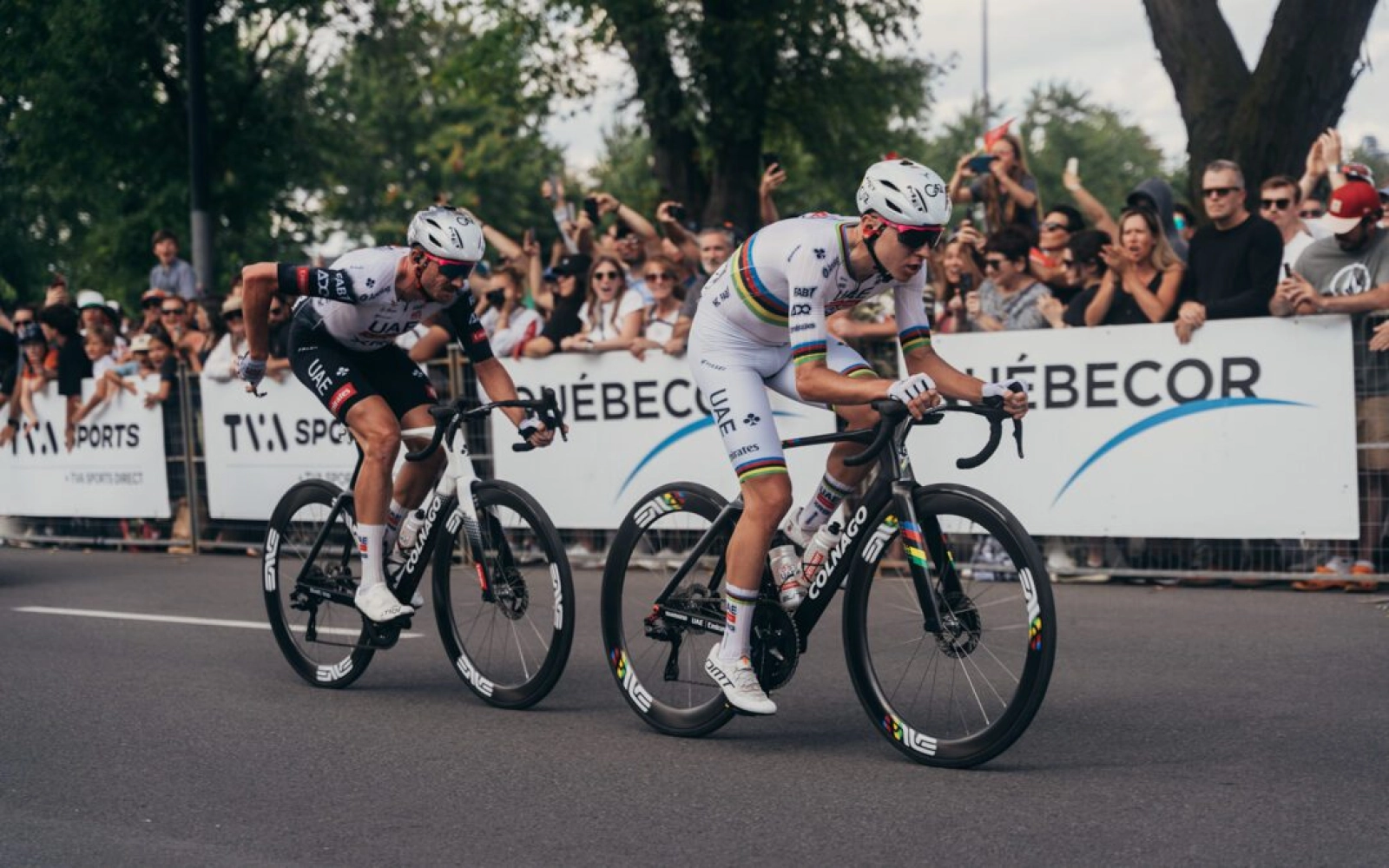 "I was sick all week": Pogacar regains his confidence for the World Championships in Montreal