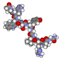Benefits of growth hormone and how to stimulate it