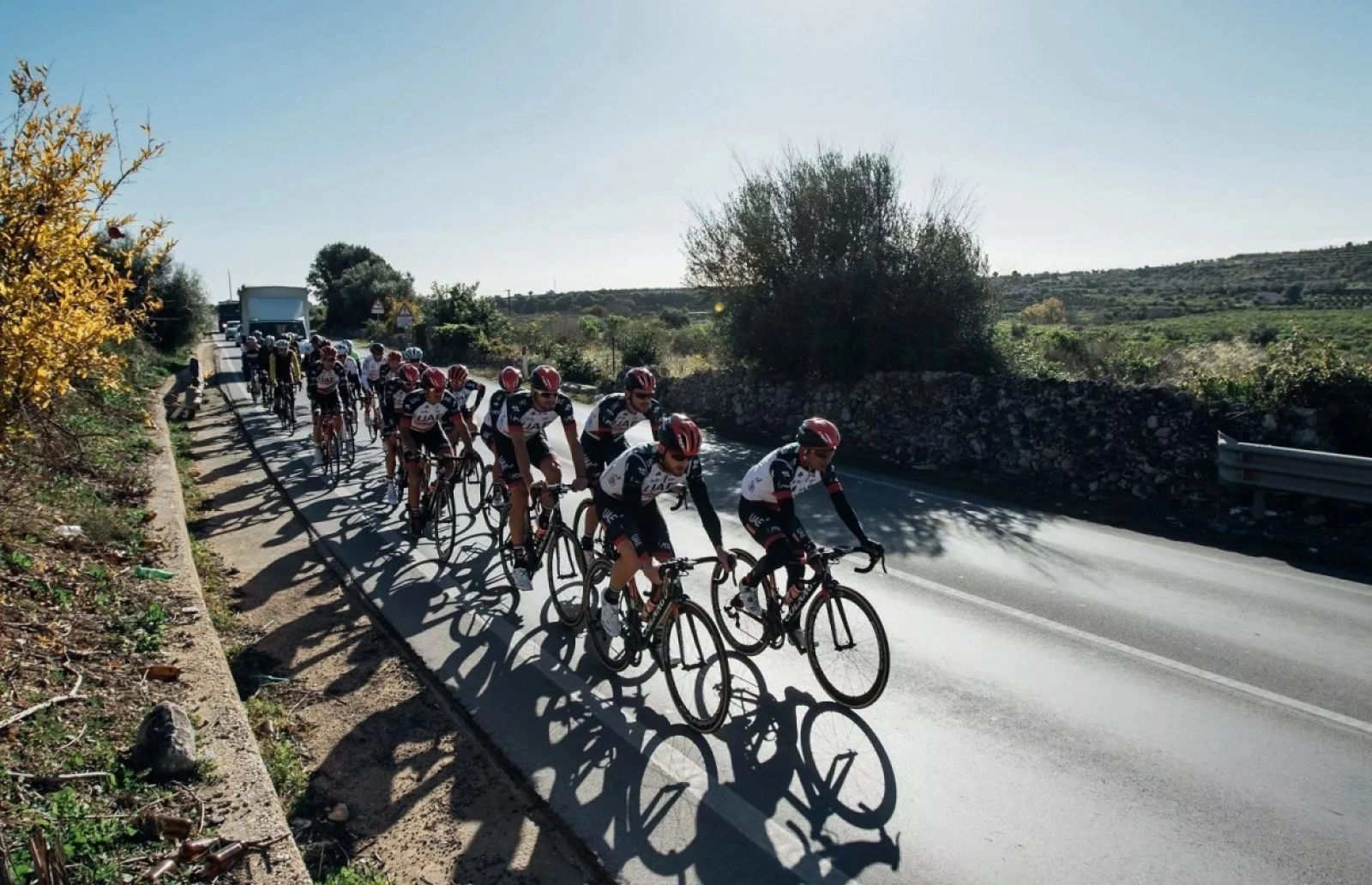 The development of bike lanes among the pillars of the new Sustainable Mobility Law