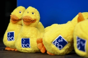 This duck costs 600€, it cannot be bought and is a symbol of cyclocross