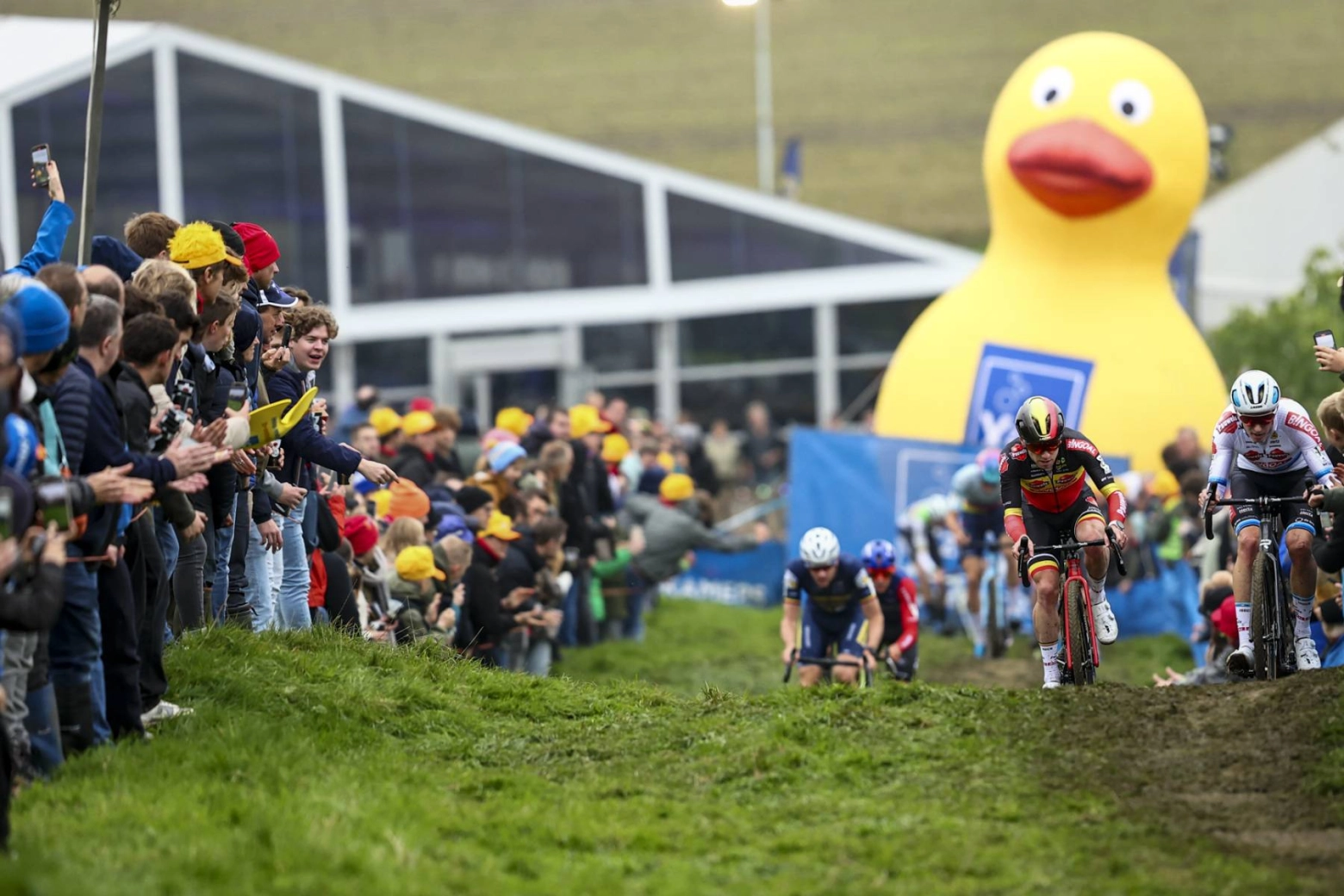This duck costs 600€, it cannot be bought and is a symbol of cyclocross