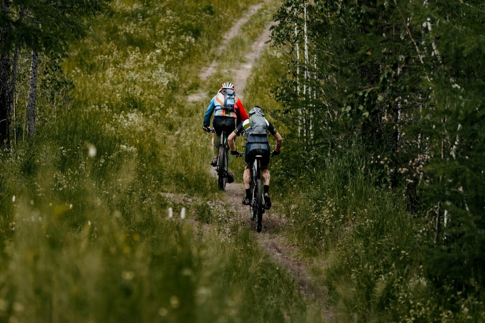 What is the cadence and why is it so important