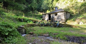 Low cycling season: what it is, how long it should last, and what the real objective is