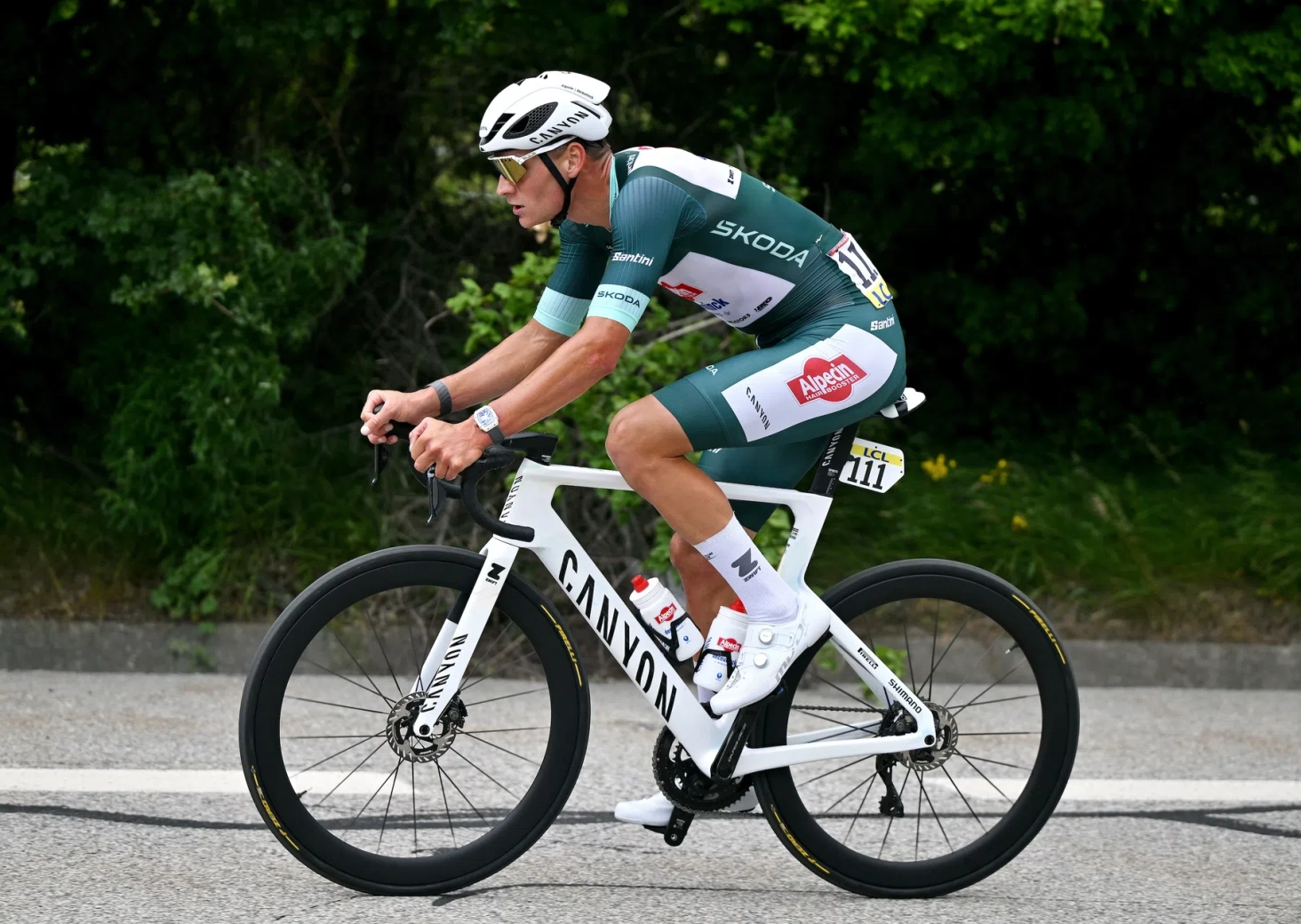 What explains the decline in sales of Canyon?