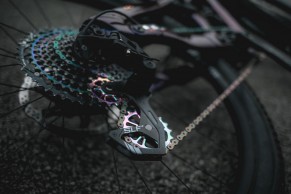 jaulas-carbono-slf-motion/