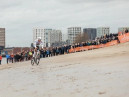 The new starting area in Antwerp could benefit Van Aert