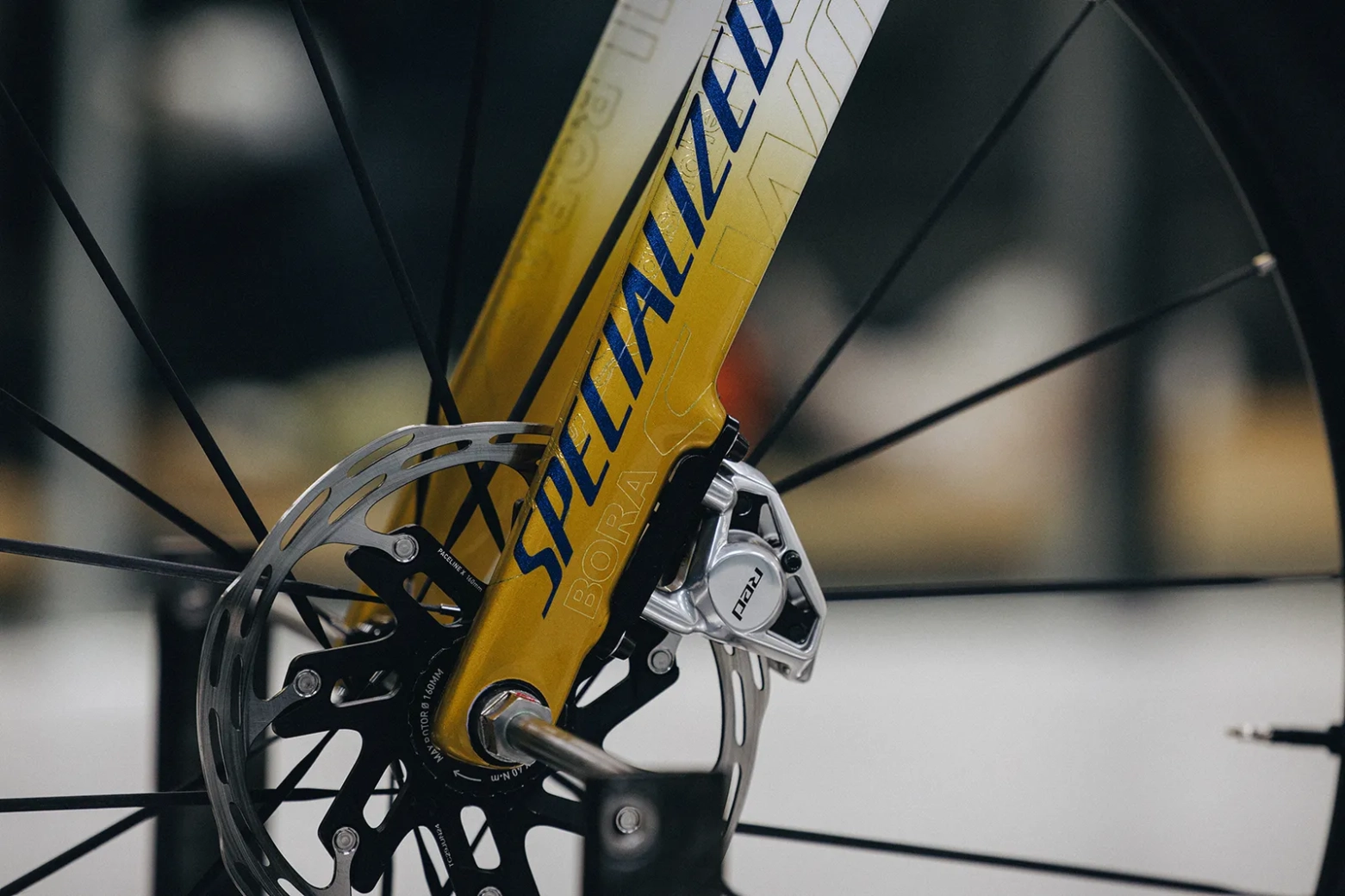 Al detalle la S-Works Tarmac SL 8 de Evenepoel para 2026