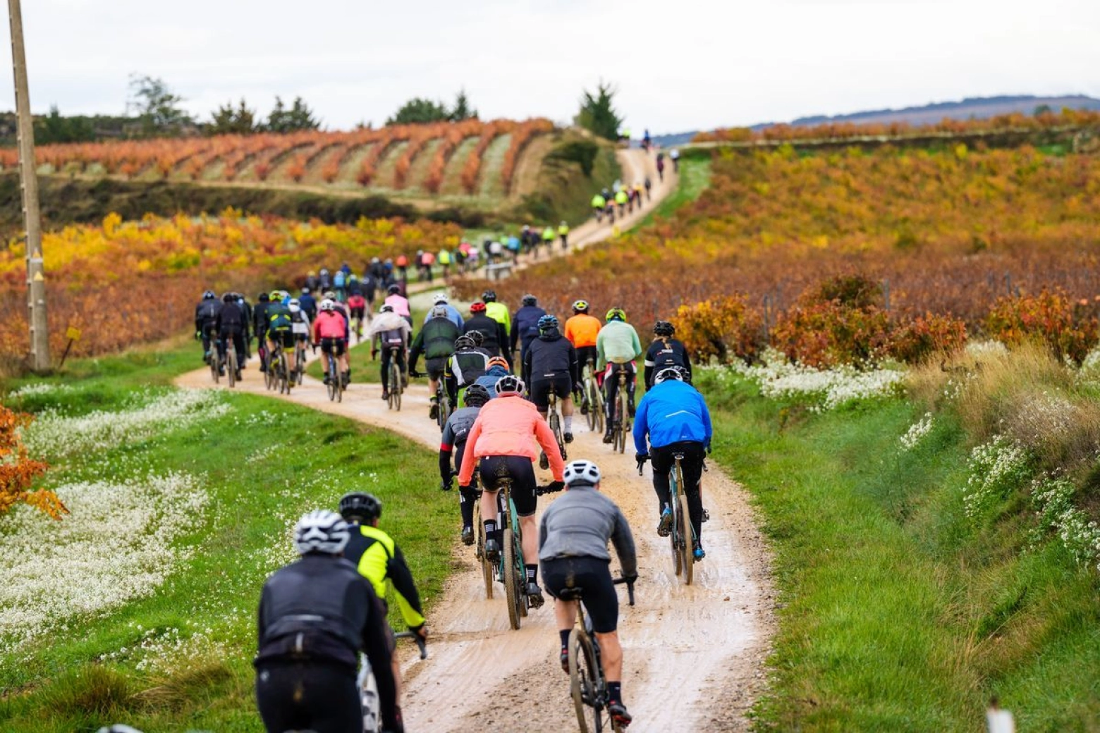 The best Gravel races in Spain 2026: the most complete calendar you will find