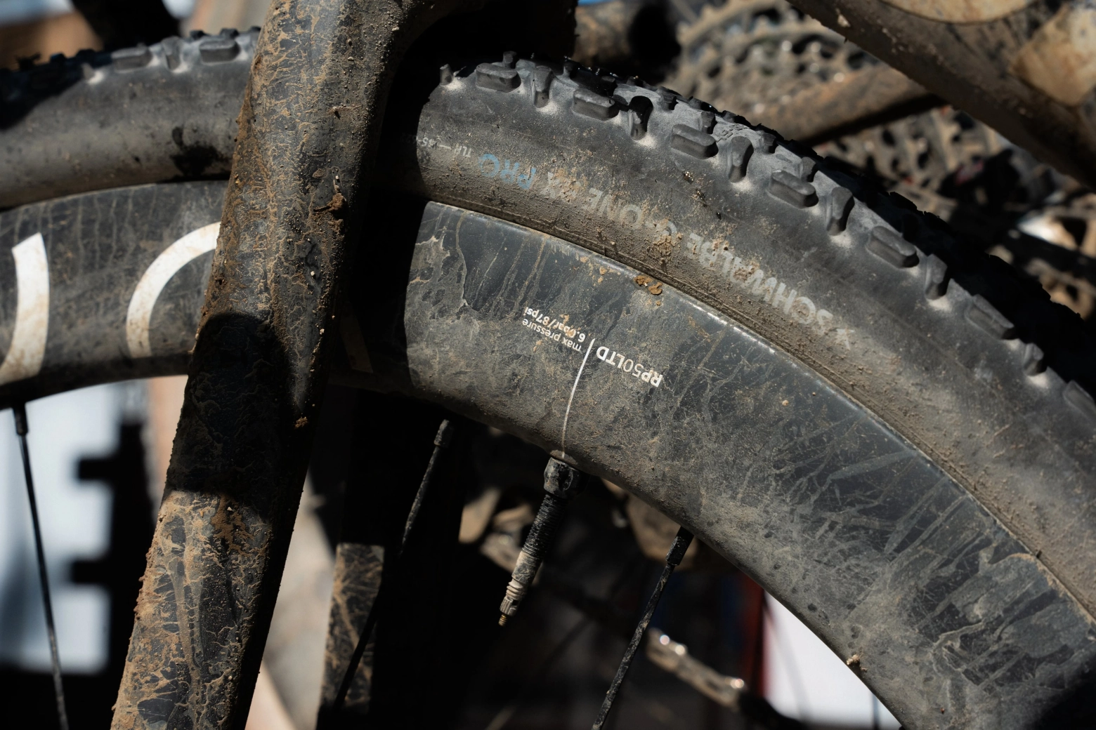 OQUO eleva su apuesta por el gravel de alto nivel con nuevos riders para 2026