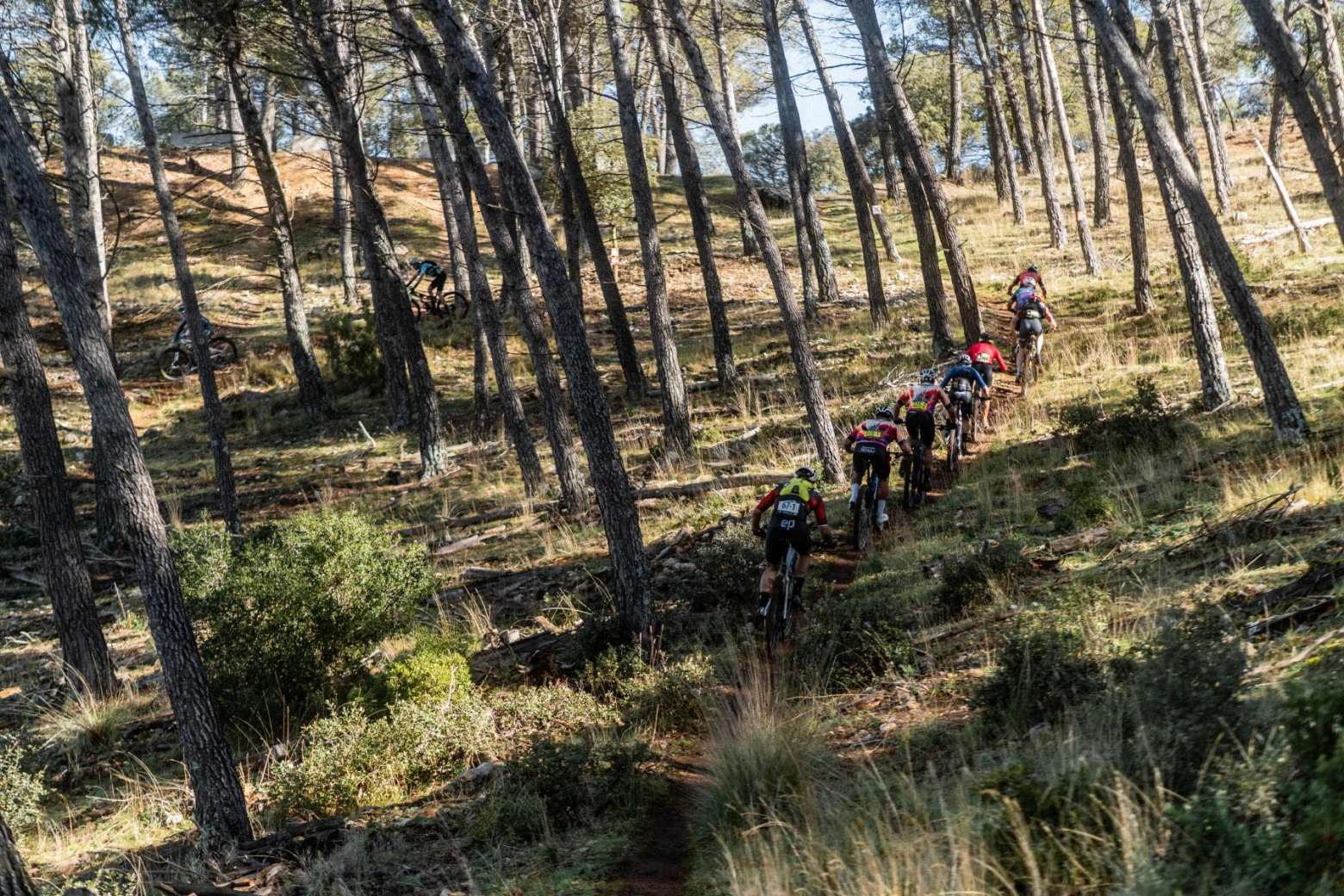 Cancelada la etapa 1 de la Andalucía Bike Race 2026 por causas de fuerza mayor