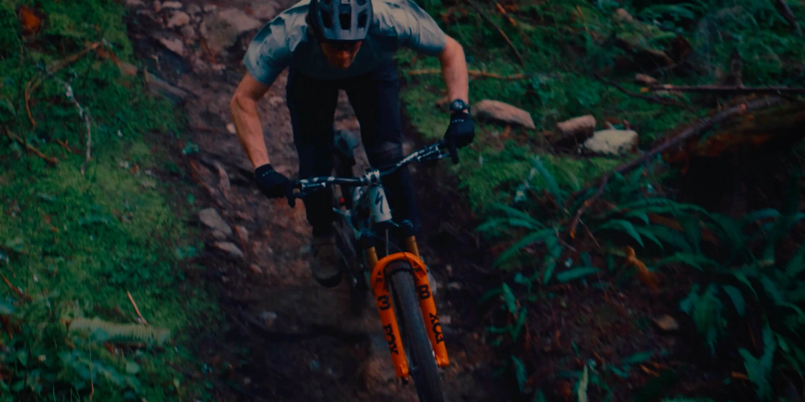 Nueva Fox 38, la referencia en Enduro ahora es más suave, eficiente y consistente