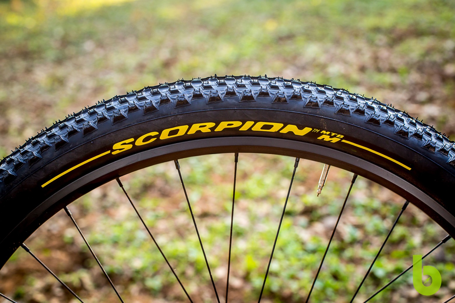 pirelli scorpion xc mtb