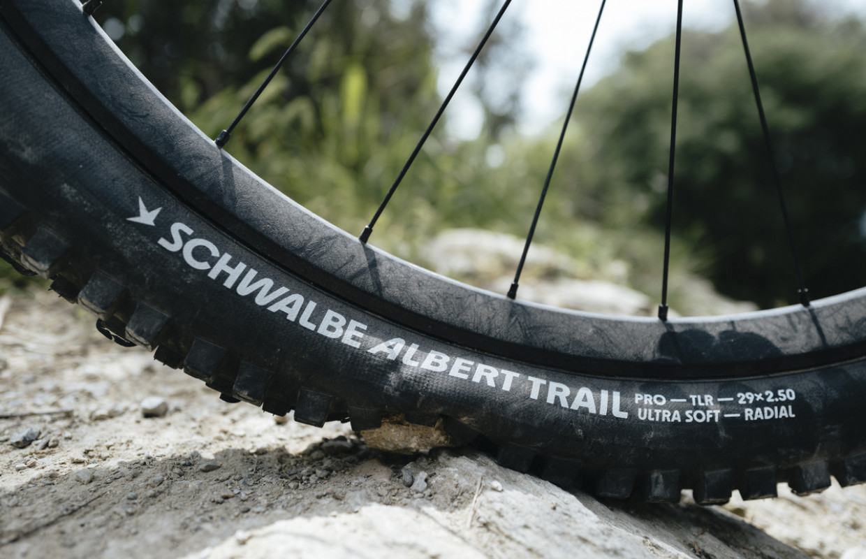 Schwalbes radial technology strengthened with expansion of models and sizes