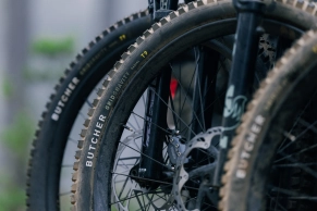 The radial technology from Specialized breaks the classic balance of the MTB tire