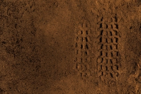 The radial technology from Specialized breaks the classic balance of the MTB tire