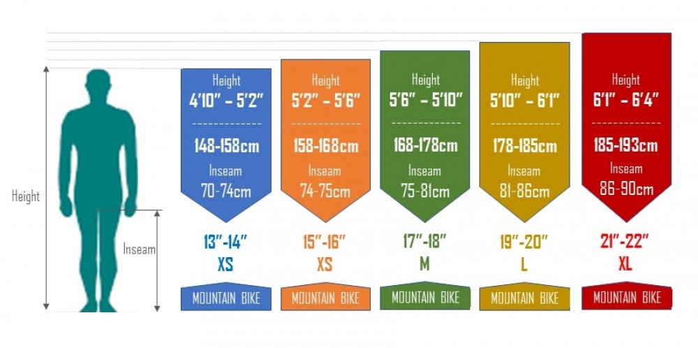 What bike size do you need? Here's how to find out