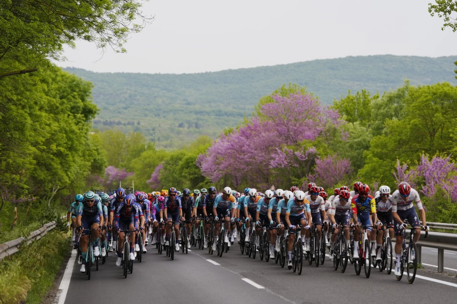 The Giro starts with a massive crash and Paul Magnier dressed in pink