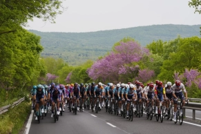 El Giro arranca con una caída masiva y Paul Magnier vestido de rosa