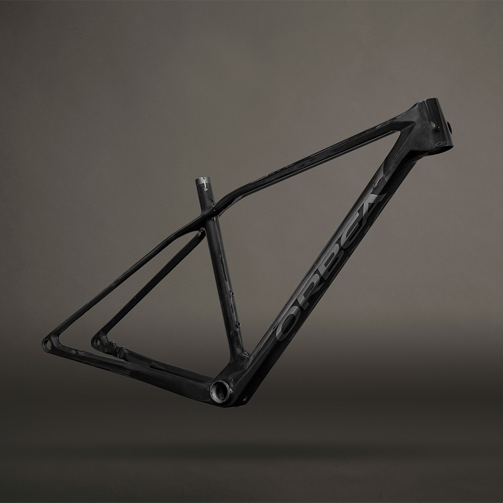 orbea raw carbon