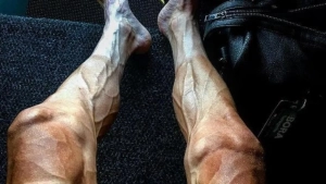 piernas ciclismo